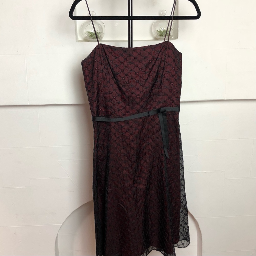 ✨SALE✨ Laundry by Shelli Segal Lace Dress